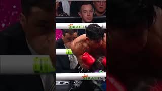 Pure Adrenaline: The most devastating knockouts in boxing history.