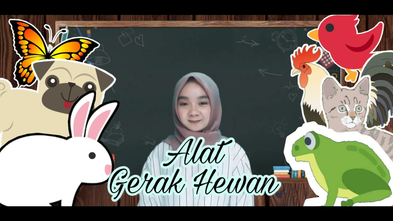  Alat  Gerak  Hewan  Kelas  I Tema 7 Sub Tema 2 YouTube