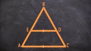 What is the triangle proportionality theorem