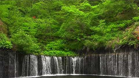 أذكار النوم 💚