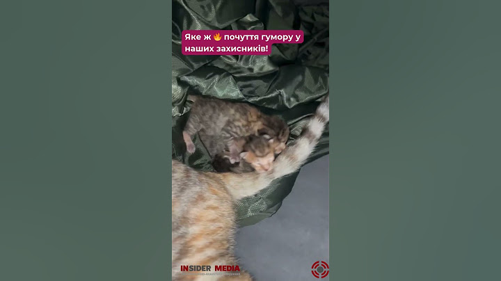 💛💙What a 🔥 sense of humor our defenders have! #slavazsu💪🇺🇦❤️ #warinukraine #animals
