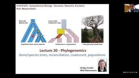 MIT CompBio Lecture 20 - Phylogenomics (Fall 2019)
