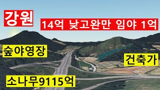 1억 강원도임야 보전관리포함 공시가아래싼임야 전원생활 숲야영장캠핑교회탠트고기집힐링숲6차산업 숲가치9132억 탄소권609만원 숲경영 자연인 땅과함께(새희망을)경매임야공매임야나도땅주인