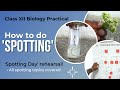 How to do SPOTTING | Biology Practical Class 12
