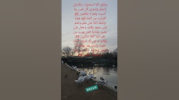 تلاوة للشيخ سعد الغامدي ماتيسر من سورة الجاثية