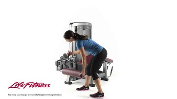 Insignia Series Leg Curl