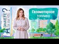 Газомоторное топливо. О гоночном грузовике, чистом воздухе и запасах топлива