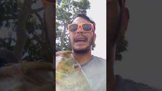 Fishingwitheric caught a peacock bass on using live worms