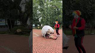 Download Lagu bety dimakan can macanan kena jebakan badut MP3