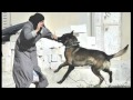 هذه هي الإنسانية النجسة القبيحة M4v هذه هي الإنسانية النجسة القبيحة M4v