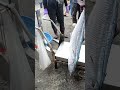 Hook Offers a benefit first hand seafood, uses exciting language crazy high speed technique, guarant