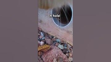 I Gave My Cat a Camera, and Found This...🐱🐱 @insta360 #insta360 #Insta360catcam