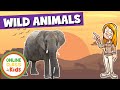 Wild Animals Exploration Quiz