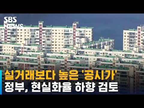 실거래보다 높은 &amp;#39;공시가&amp;#39;…정부, 현실화율 하향 검토 / SBS