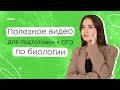 Практика по заданию 22: беспозвоночные | отрывок из занятия МГ с Аминой