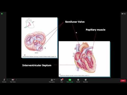 IT 18. Bedah Bidang Kardiovaskular