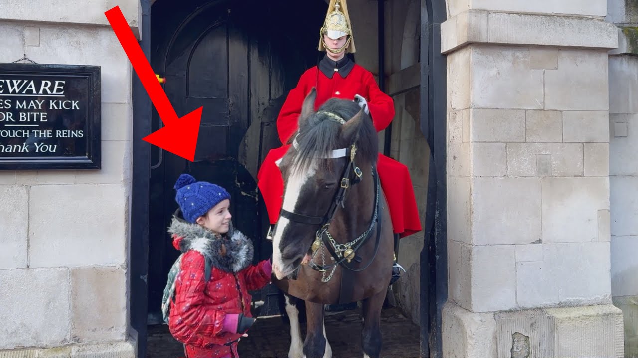 King’s Guards SWIFT ACTION Saves a Child from Serious Horse Wrath!