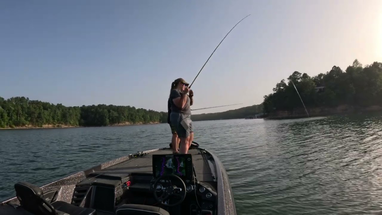 Smith Lake summer rock piles and laydowns for the win! #fishing #bassfishing #bassfishinglife