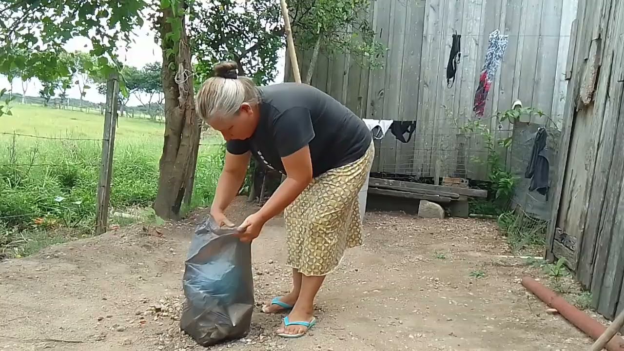 Vlog limpando meu quintal 