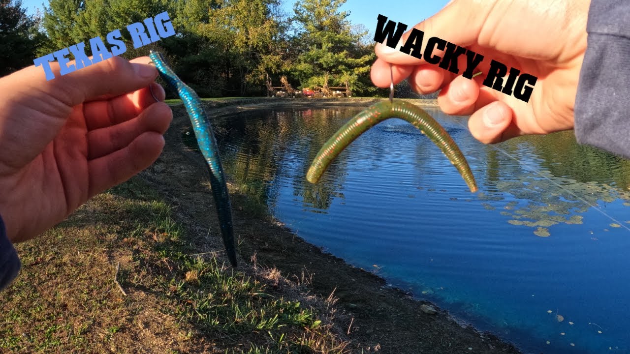 Wacky rig vs Texas rig, what's better for bass fishing?