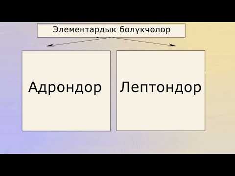 Video: Бөлүкчөлөрдүн тездеткичтери кантип иштейт?