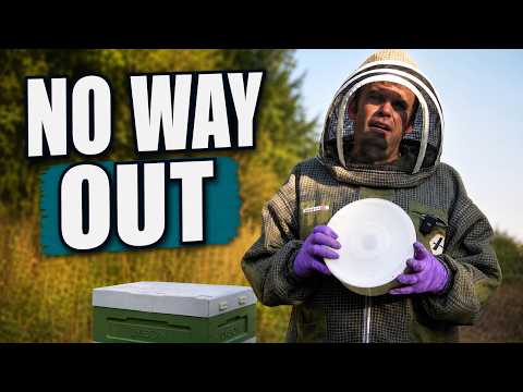 Latest Jurassic Bees Become a Better Beekeeper video thumbnail