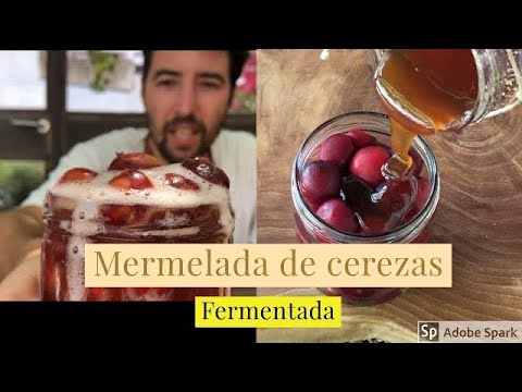 Vídeo: Com Fer Vi Casolà A Partir De Melmelada Fermentada