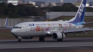 [Tohoku Flower Jet] All Nippon Airways Boeing 737-881(JA85AN) 大阪国際空港着陸 -2018.11.20-