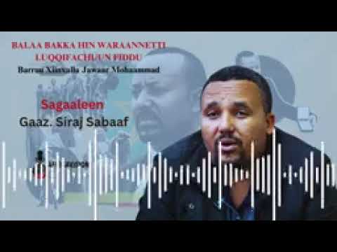 BALAA BAKKA HIN WARAANNETTI LUQQIFACHUU Sagaleedhaan