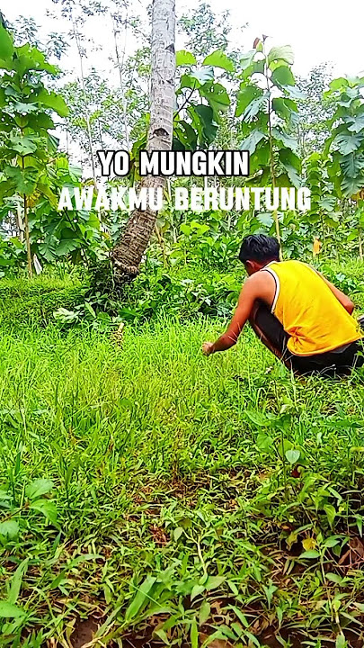 tetep kerjo masio awak loro #storyharian #shorts #storywa #storyjawaterbaru