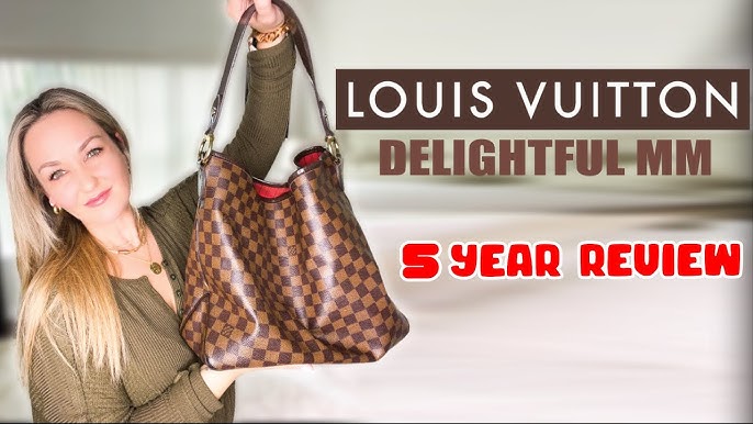 Louis Vuitton Damier Ebene Brown Delightful MM - A World Of Goods For You,  LLC