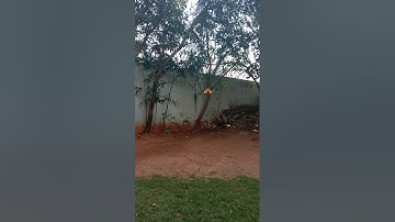 Arduino Mega Quadcopter_PItch and Roll PID stability_DEMO_2