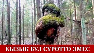 БЕРЁЗОВЫЙ СОК / СОК ИЗ БЕРЁЗА