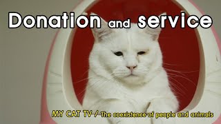 [MY CAT TV / Donation] 서로 다른 사연을 안고 모인 아이들의 쉼터 by MY CAT TV 126 views 9 months ago 2 minutes