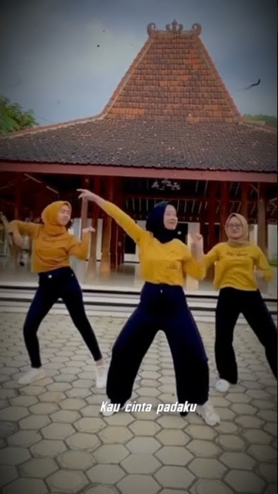dj tiktok#viral bunga mawar merah#story#96