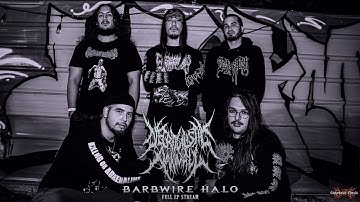 NECROGILISTIC ANOMALY 