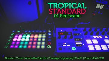 Tropical Standard 01 | Reefscape - Novation Circuit - Arturia BeatStep Pro - PO-400 - Zoom MS70-CDR
