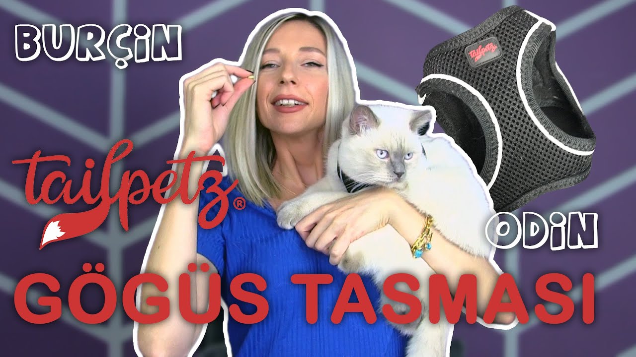 Kedimi Disari Cikariyorum Tailpetz Airmesh Kedi Ve Kopek Gogus Tasmasi Burcin Odin Youtube