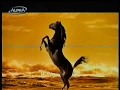 Διαφημίσεις 2004 Alpha TV-Greek commercials from 2004