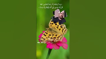 سورة الأنبياء الآية 107 ـ 108 | الشيخ محمد الطبلاوي رحمه الله