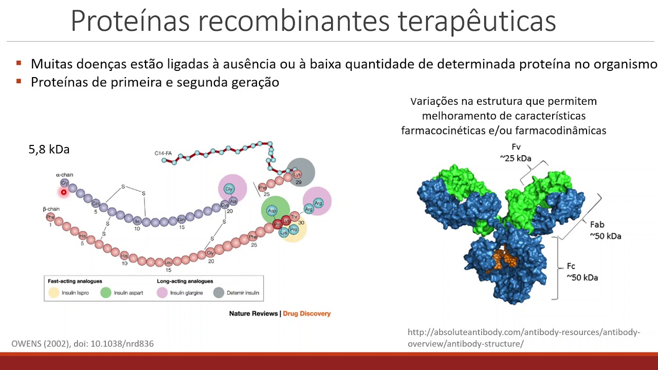 Produção de biofármacos em células animais