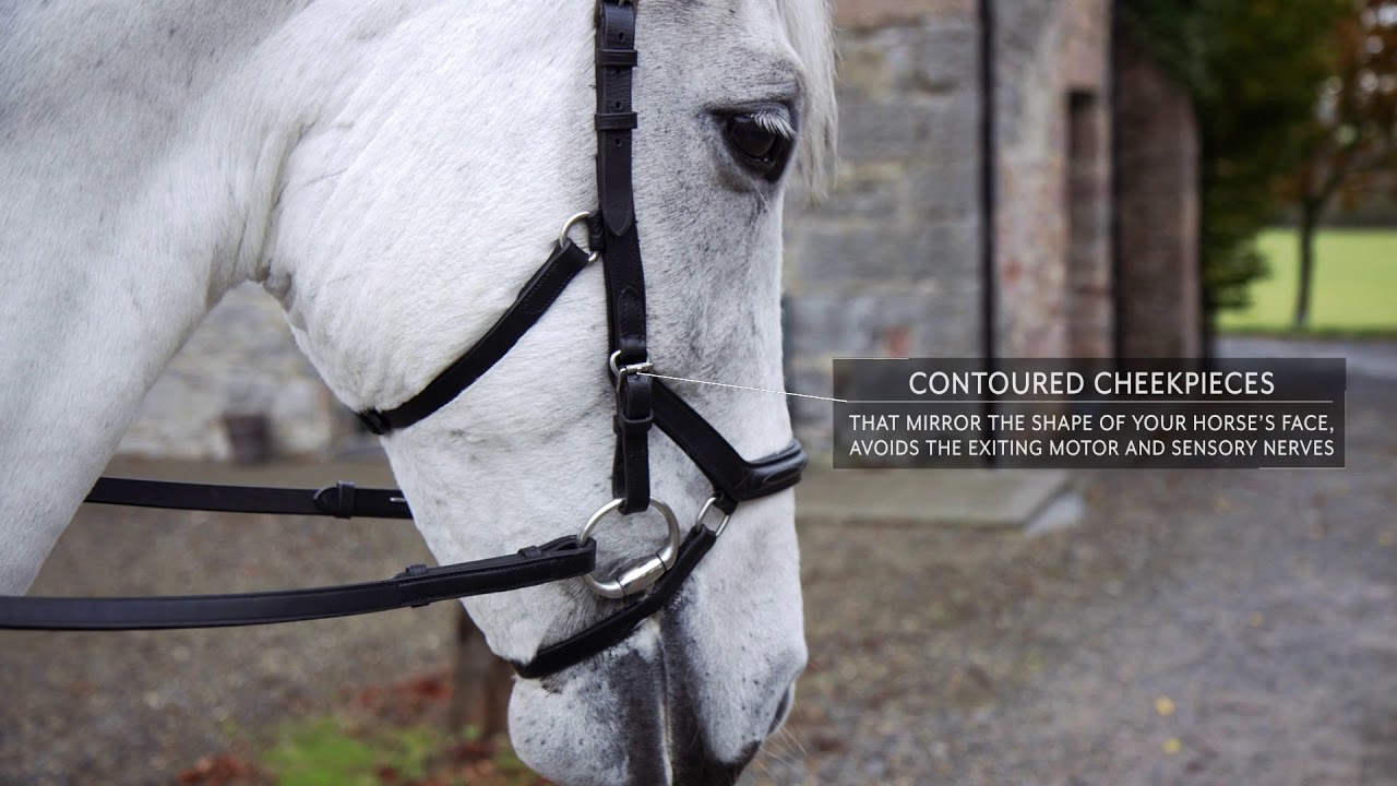 The benefits of Horseware Ireland's Micklem ® Bridle YouTube