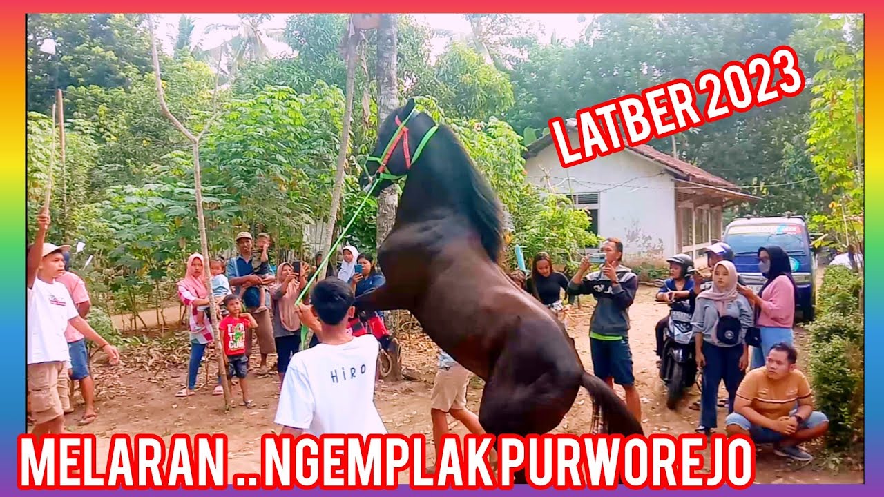 Start LATBER🐎LATIAN BARENG KUDA JINGKRAK PURWOREJO DI DESA MELARAN NGEMPKAK PURWOREJO 4 Juni 2023