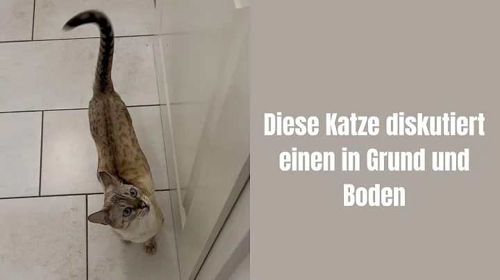 Watch the video about You need strong nerves with Bengal cats #catsonyoutube #bengalcat #cats #meow #catvideo