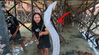 5 DAYS SURVIVAL: HUNTING AND COOKING THE WHITE MONSTER IN EAST KALIMANTAN WITH KIKO AND PANJI