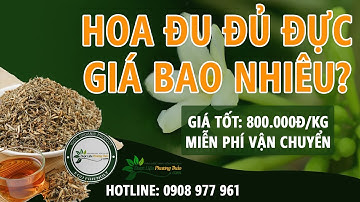 Giá hoa đu đủ đực 1kg bao nhiêu? Nơi cung cấp hoa đu đủ đực khô, thơm, sạch? | Dược Liệu Phương Thảo