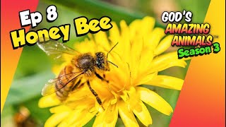 Bee Amazed: Fun Facts for Kids About Honey Bees! (S3 Ep8)