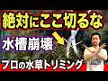 【水槽崩壊】絶対に切るな…プロが教える水草トリミングの正解とNG