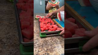 Freeze Dried Watermelon Isinteresting