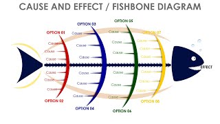 Fishbone diagram slide in PowerPoint